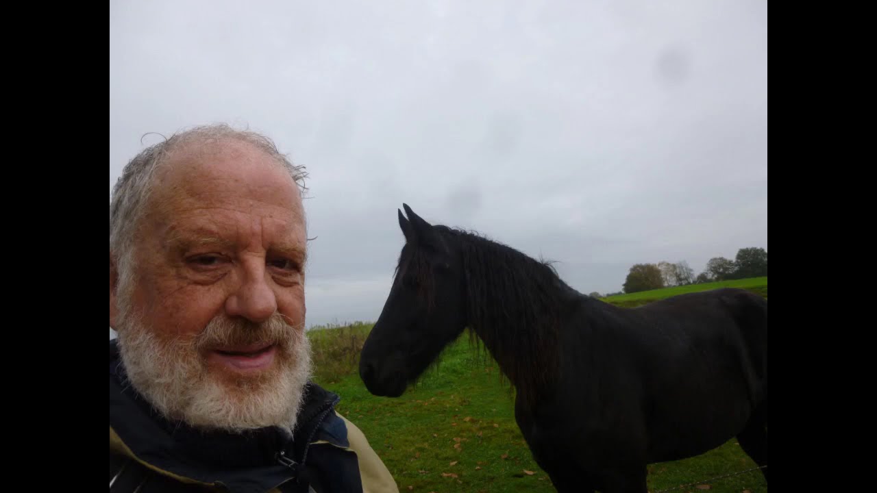 Horses and Hiking NL