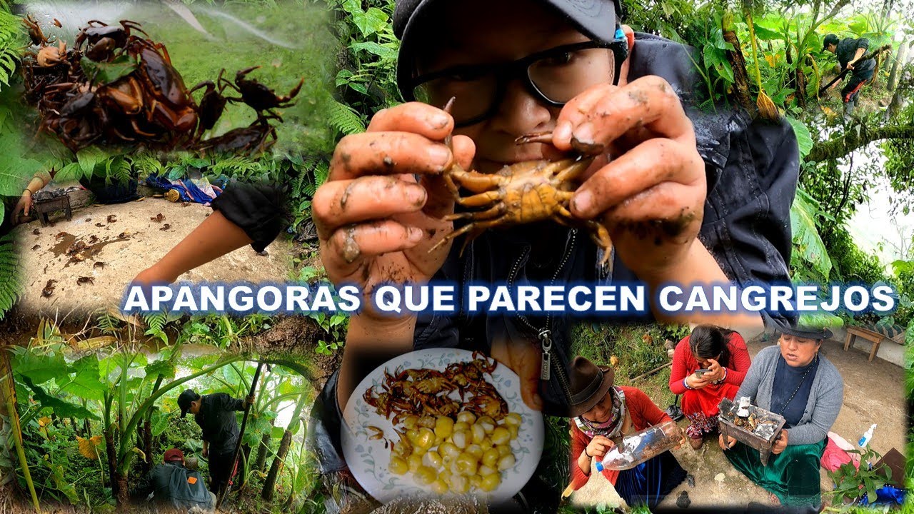 Pescando Apangoras o Cangrejos de Río | Memito Castro
