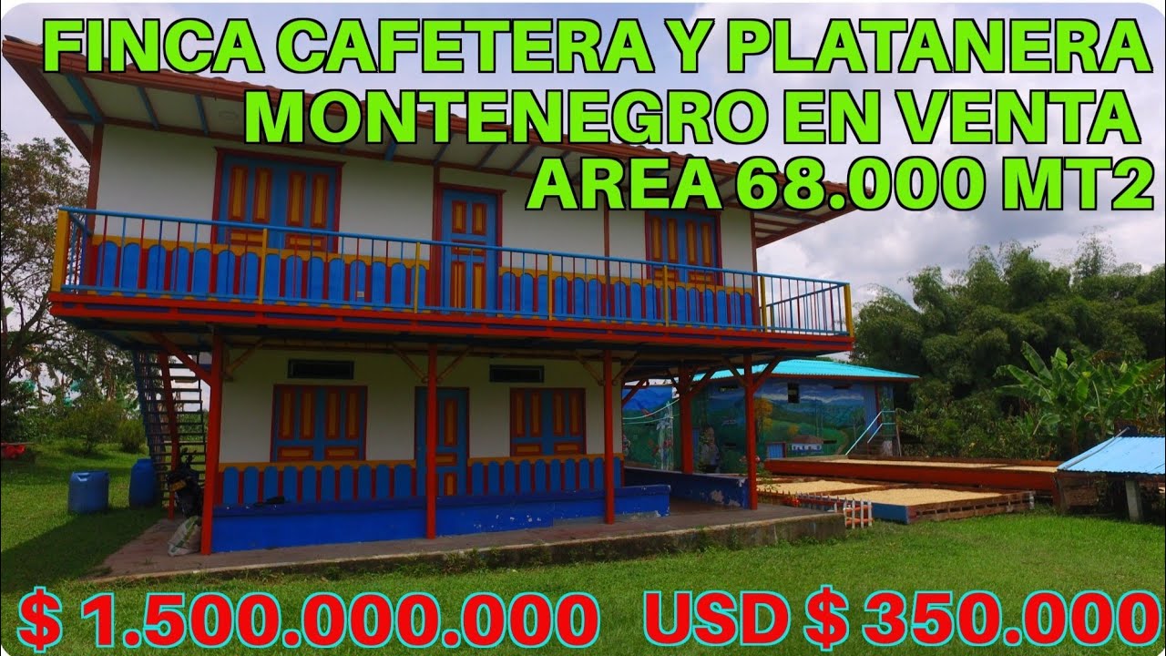 FINCA PLATANERA Y CAFETERA EN VENTA MONTENEGRO QUINDIO 68.000 MT2  CUENTA CON 9 ALCOBAS 5 BAÑOS