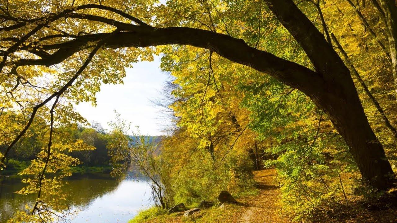 Orillas del Duero (fragmento) Antonio Machado