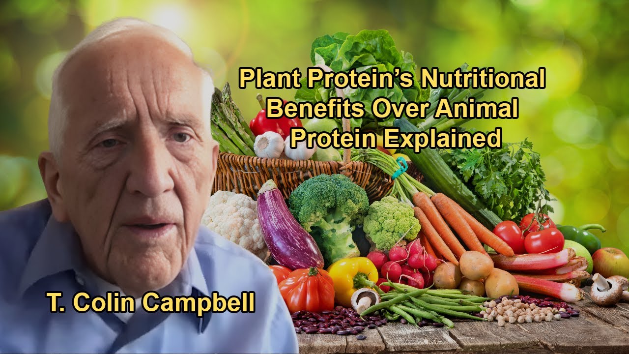 Plant Protein’s Nutritional Benefits Over Animal Protein Explained