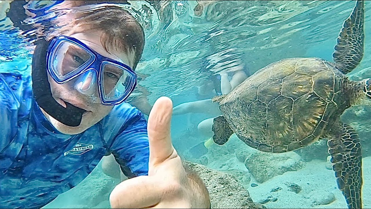 Snokel Fun at Shark’s Cove, North Shore Ohua