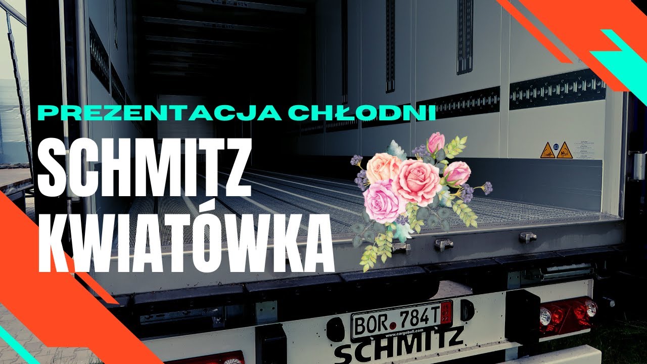 Chłodnia KWIAT&Oacute;WKA SCHMITZ Cargobull - co to jest? Co nią można wozić? 🐘