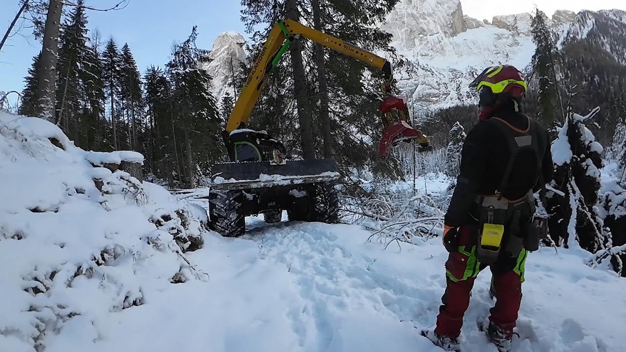 🌲 forest peg 🌲 Winter Wonderland - Konrad Highlander 2 : #