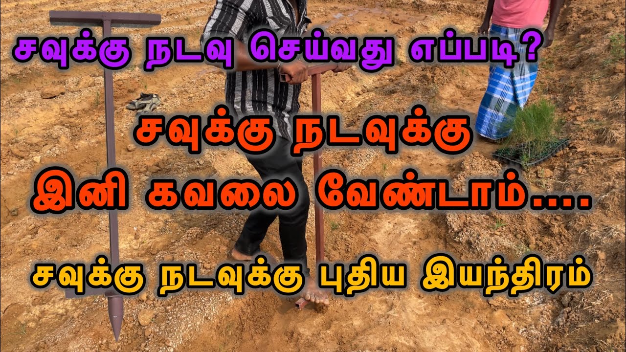 சவுக்கு நடவு செய்வது எப்படி? / சவுக்கு நடவுக்கு புதிய இயந்திரம்/சவுக்கு நடவுக்கு இனி கவலை வேண்டாம்