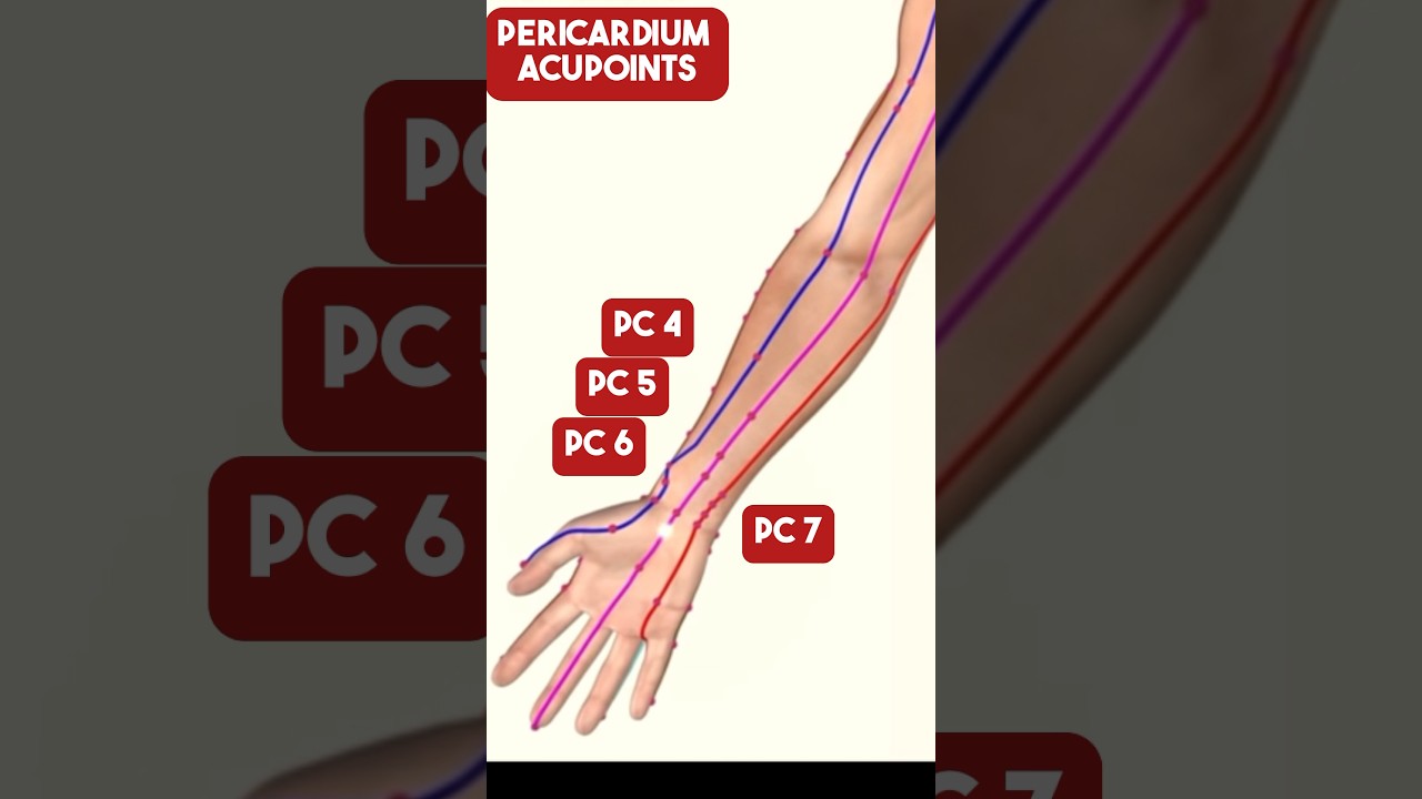 The Pericardium Meridian Acupuncture Points #acupuncture