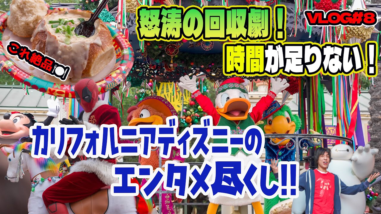 【VLOG】時間が足りない!!カリフォルニアディズニーのエンタメが凄すぎた！Vol.8