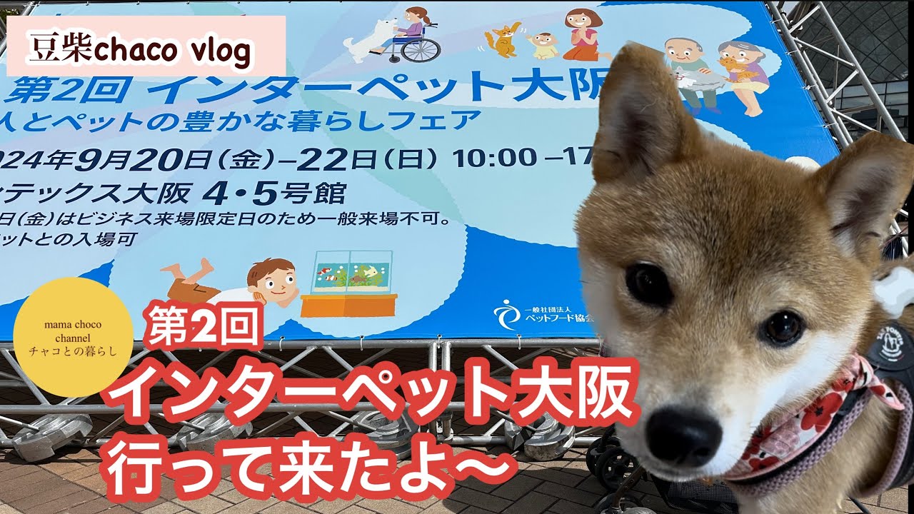 【インターペット2024大阪】試食・買い物・出会いに　大満足