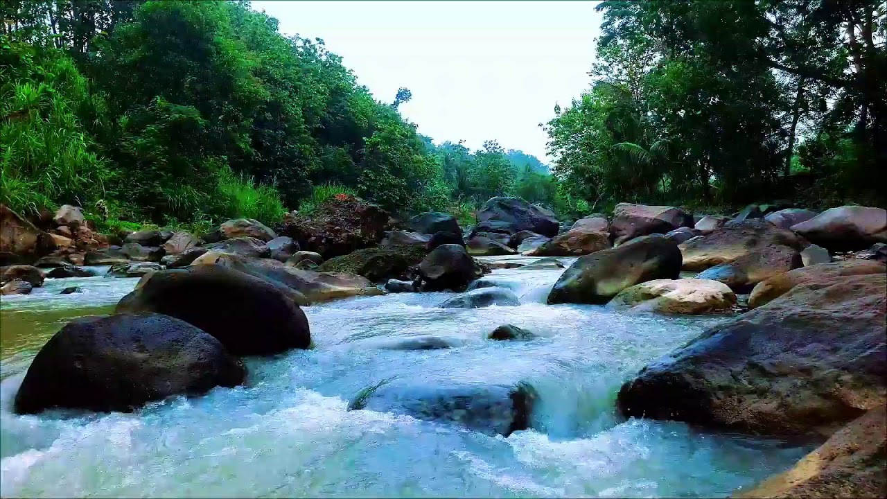 Tranquil River Sounds for Meditation and Focus – 12H Flow