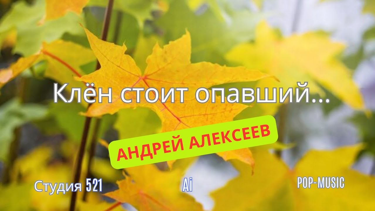 Андрей Алексеев 