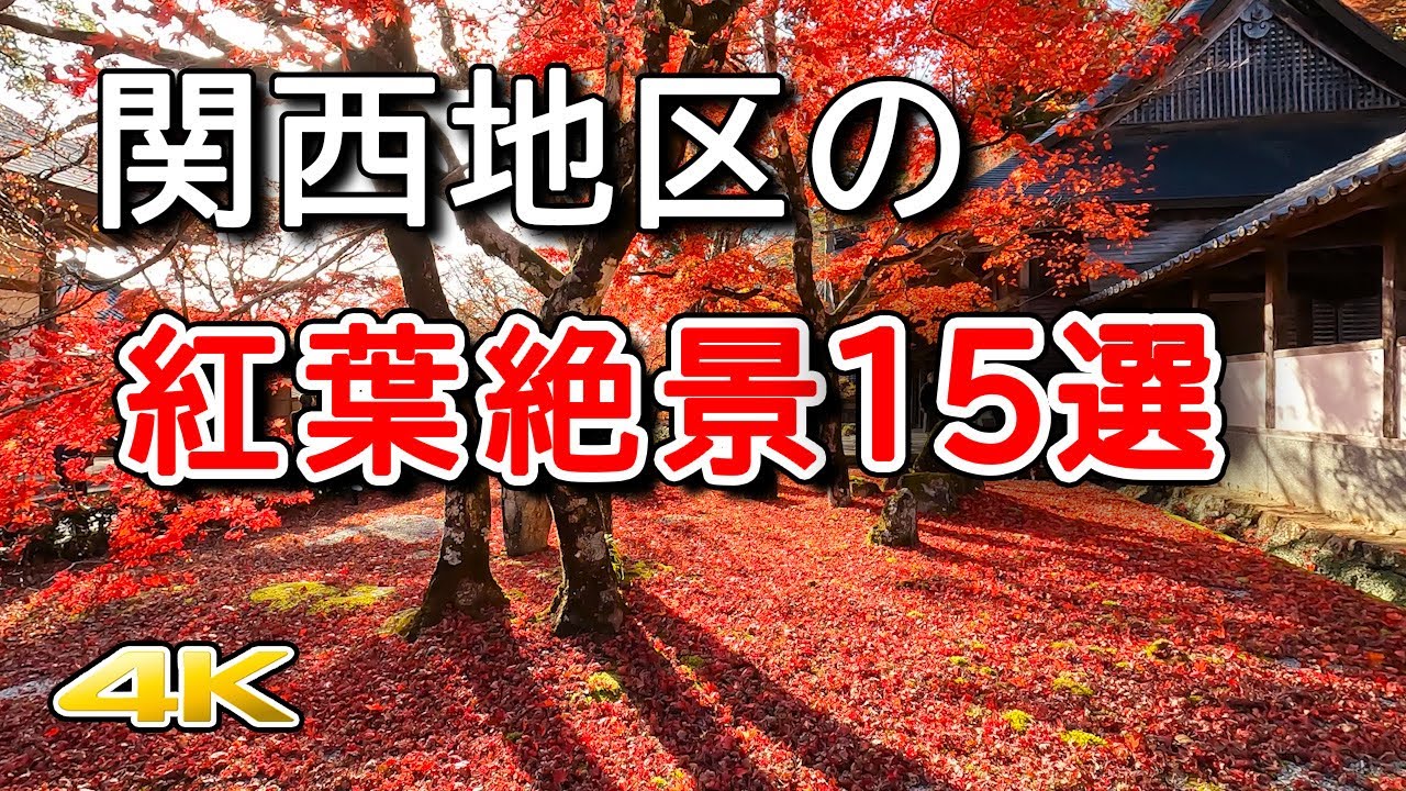 【4K 関西の紅葉🍁絶景15選】人気の名所を紹介します