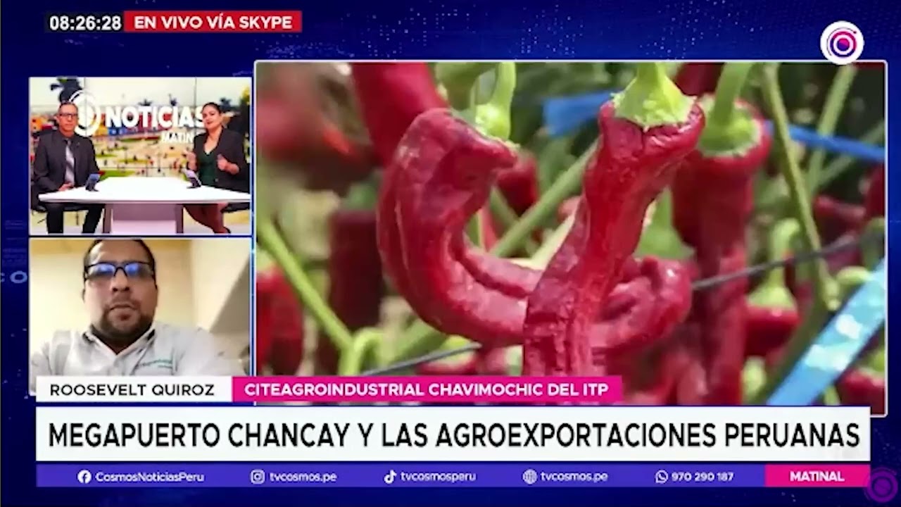 Entrevista a especialista comercial: Oportunidades de exportación y desarrollo agroindustrial