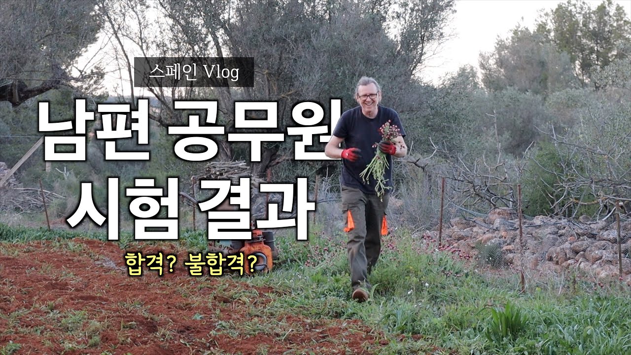 공무원 시험 본 남편의 결과가 나왔어요! 과연...?