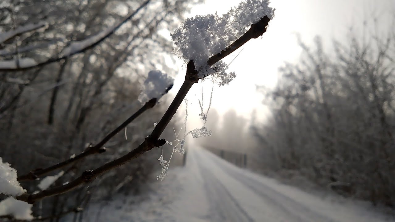 moja oaza spokoju i energii zimą, śnieżna wioska, mglisty dzień, wschodzące słońce