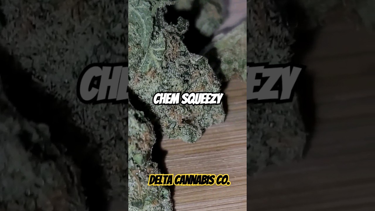 Bold Cultivation ( Chem Squeezy) Delta West Memphis Ar. MMJ