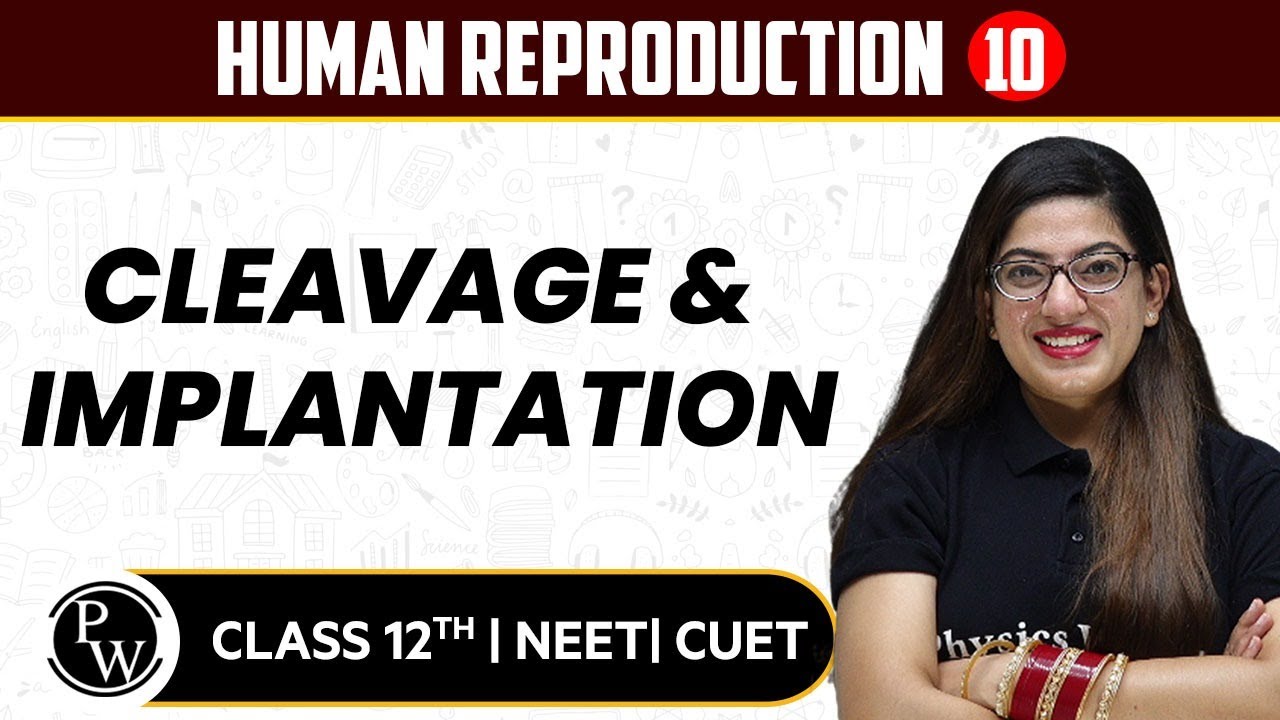 Human Reproduction 10 | Cleavage & Implantation | Pure English | 12th / NEET/CUET