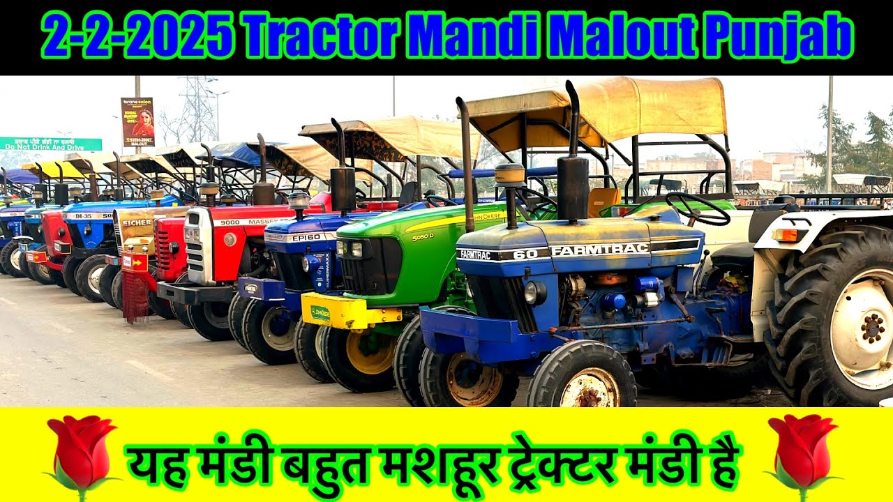 2-2-2025 Tractor Mandi Malout Punjab ट्रैक्टर मंडी मलोट मंडी में बहुत सस्ते में मिलते हैं ट्रैक्टर