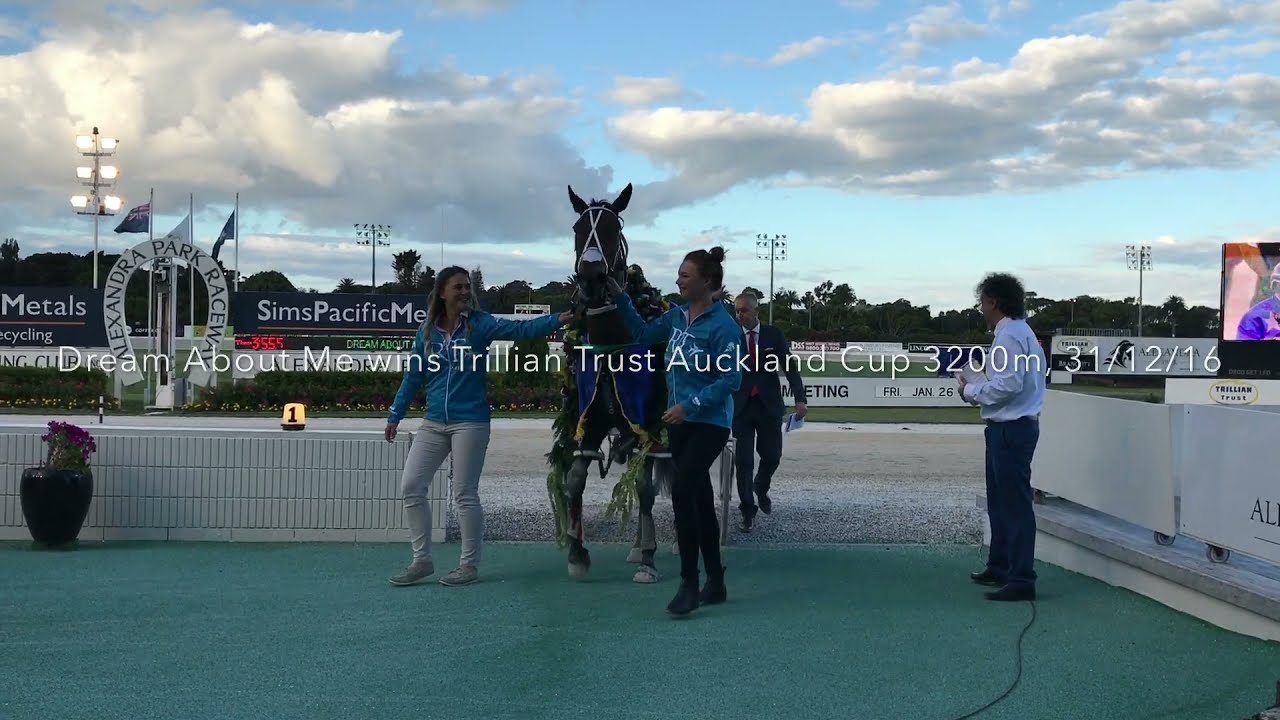 Dream About Me - Trillian Trust Auckland Cup 3200m Winner, 31/12/2016