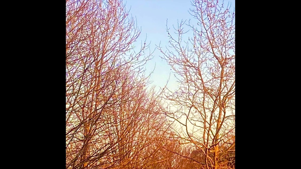 Daniel Casares - DAYS AHEAD [avant-garde jazz, fusion]