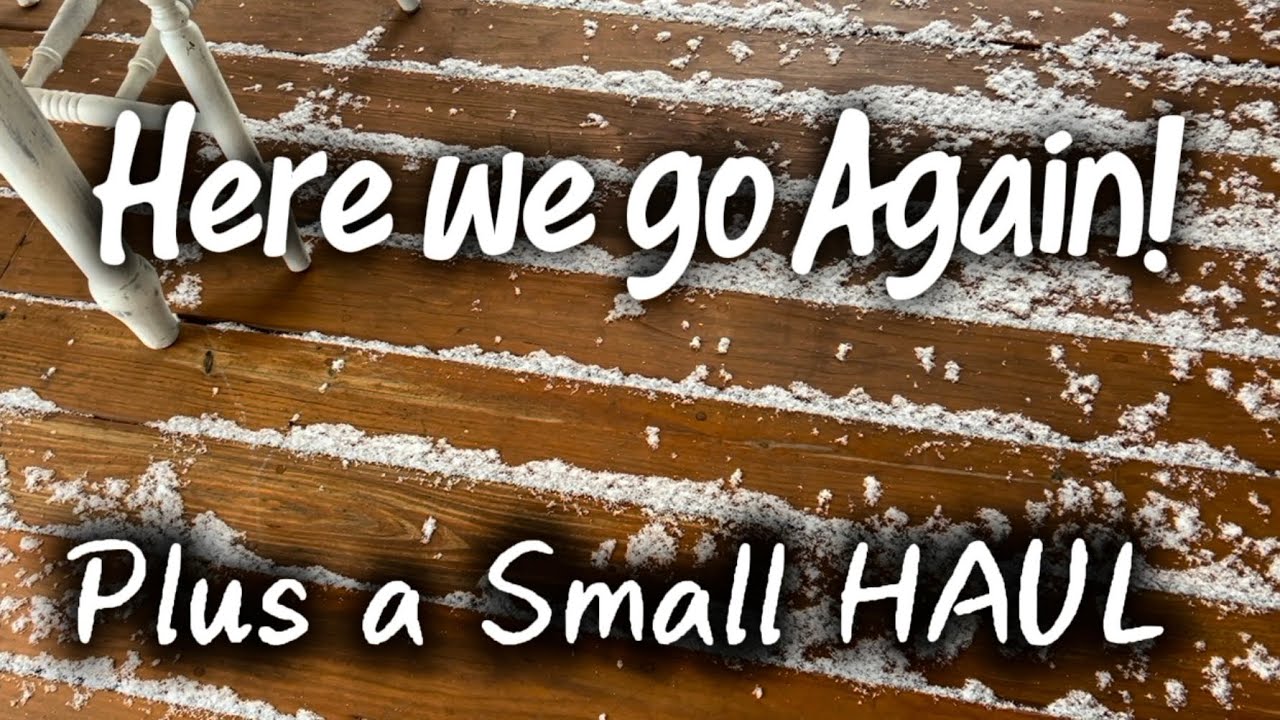 HERE WE GO AGAIN || SNOW || SMALL HAUL