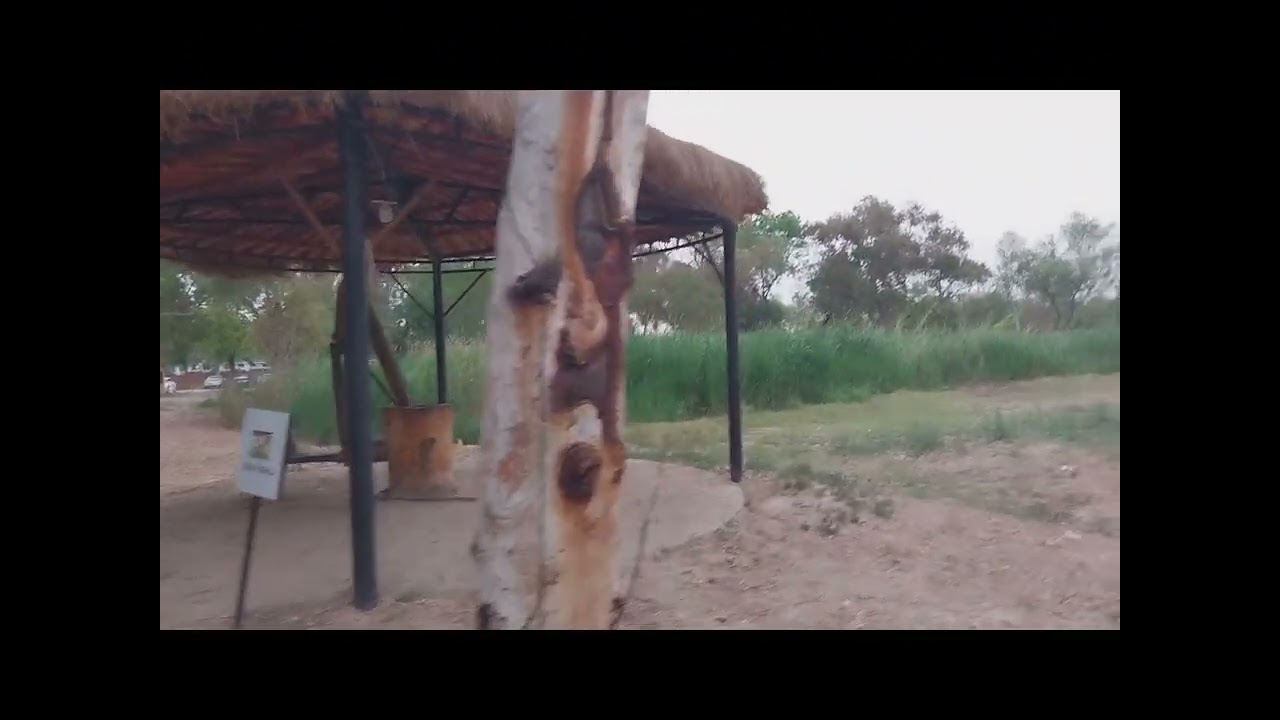 Lahore organic Village