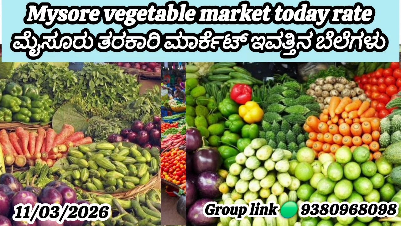 || Mysore tarkari market today rate.? 11/03/2025 ಮೈಸೂರ್ ತರಕಾರಿ ಮಾರ್ಕೆಟ್ ಇವತ್ತಿನ ಬೆಲೆಗಳು.?