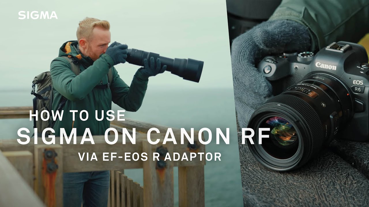 Как без проблем использовать объективы Sigma на Canon RF через адаптер EF-EOS R