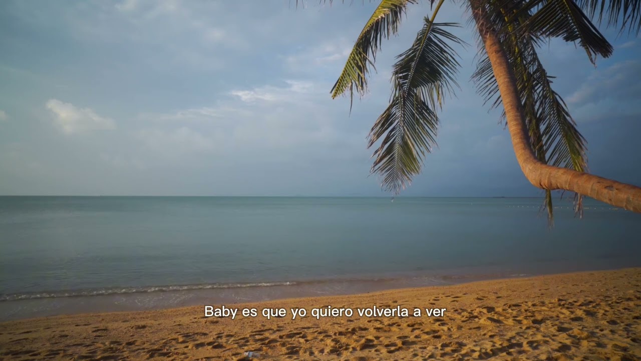Derik RK - ALGO EN PLAYITA 🏝️(Visualizer)