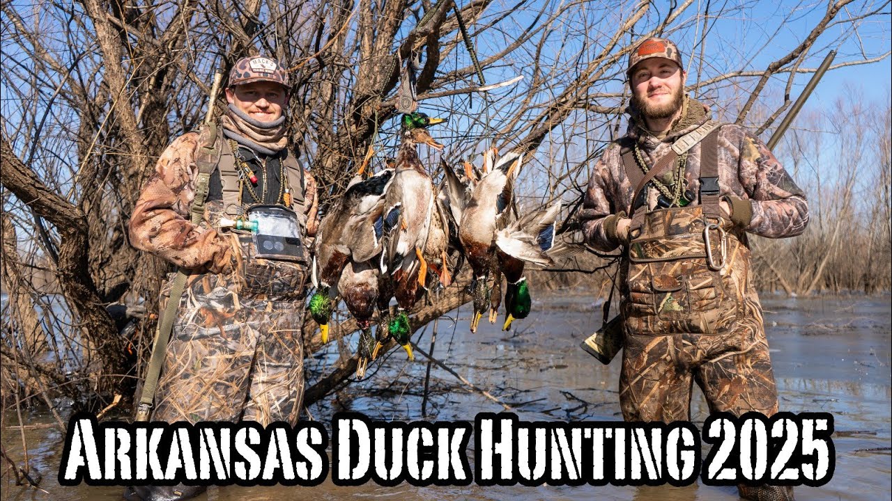 Late-Season Arkansas DUCK HUNTING 2025