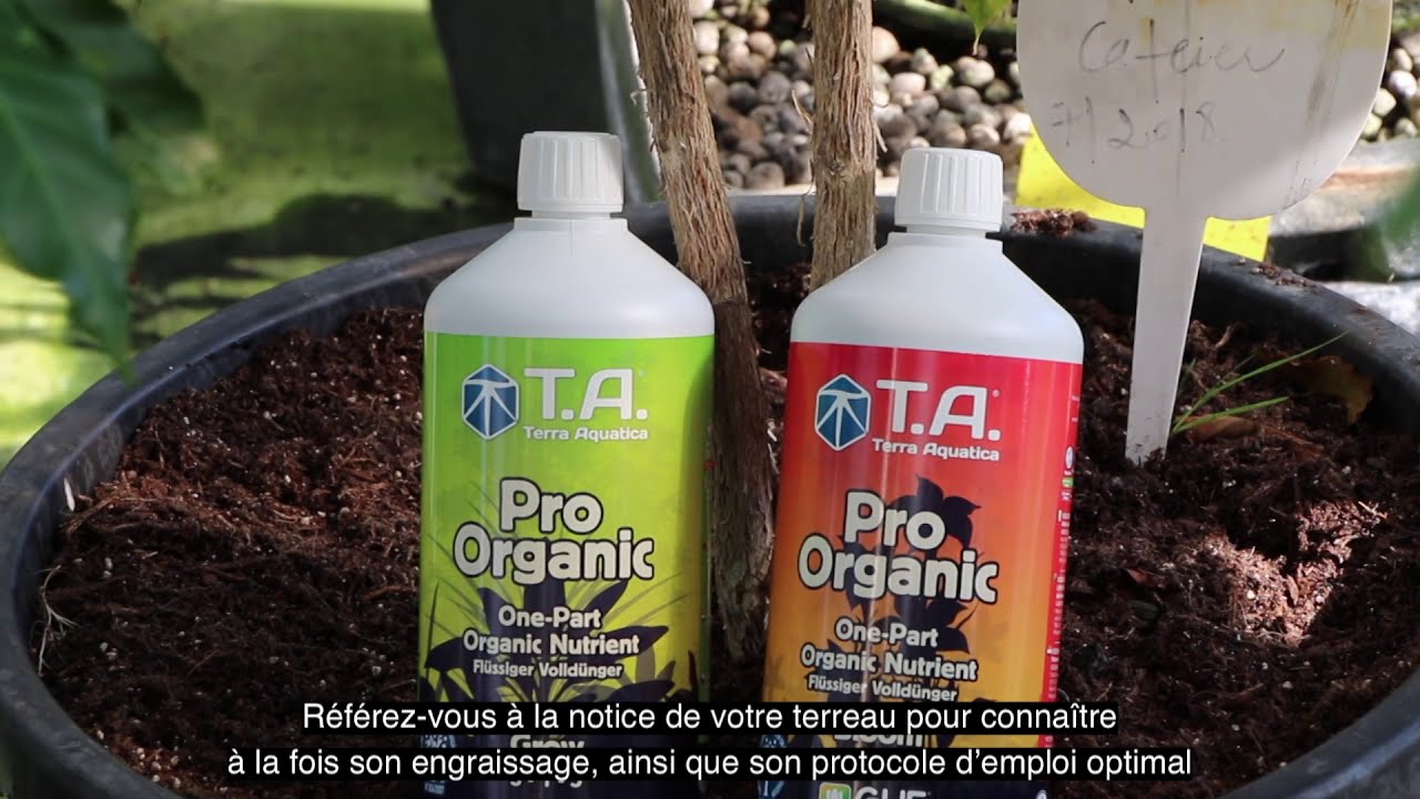 Guide d'utilisation de Pro Organic. 🍀