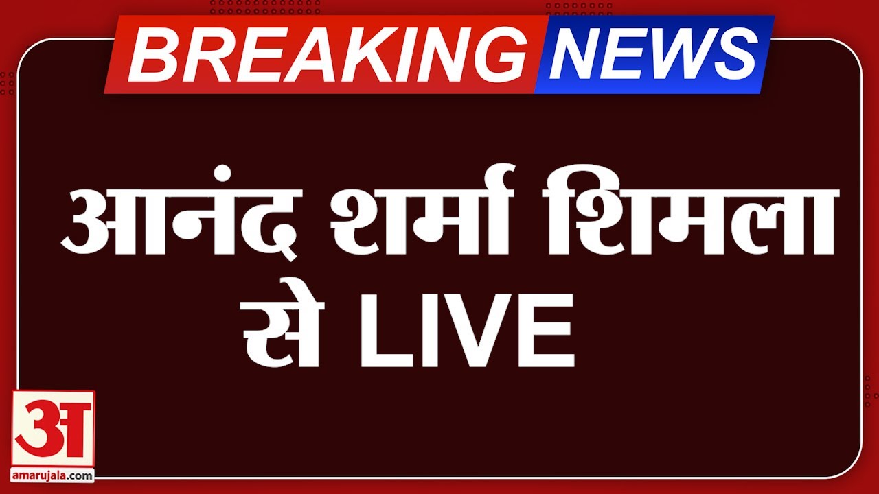 Anand Sharma LIVE: Shimla में कुछ ऐसे स्वागत हुआ प्रत्याशी अनिल शर्मा का, साथ में रहे CM Sukhu