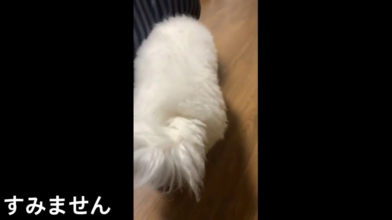 [日本語字幕] 190101 EXO SEHUN live on instagram セフン