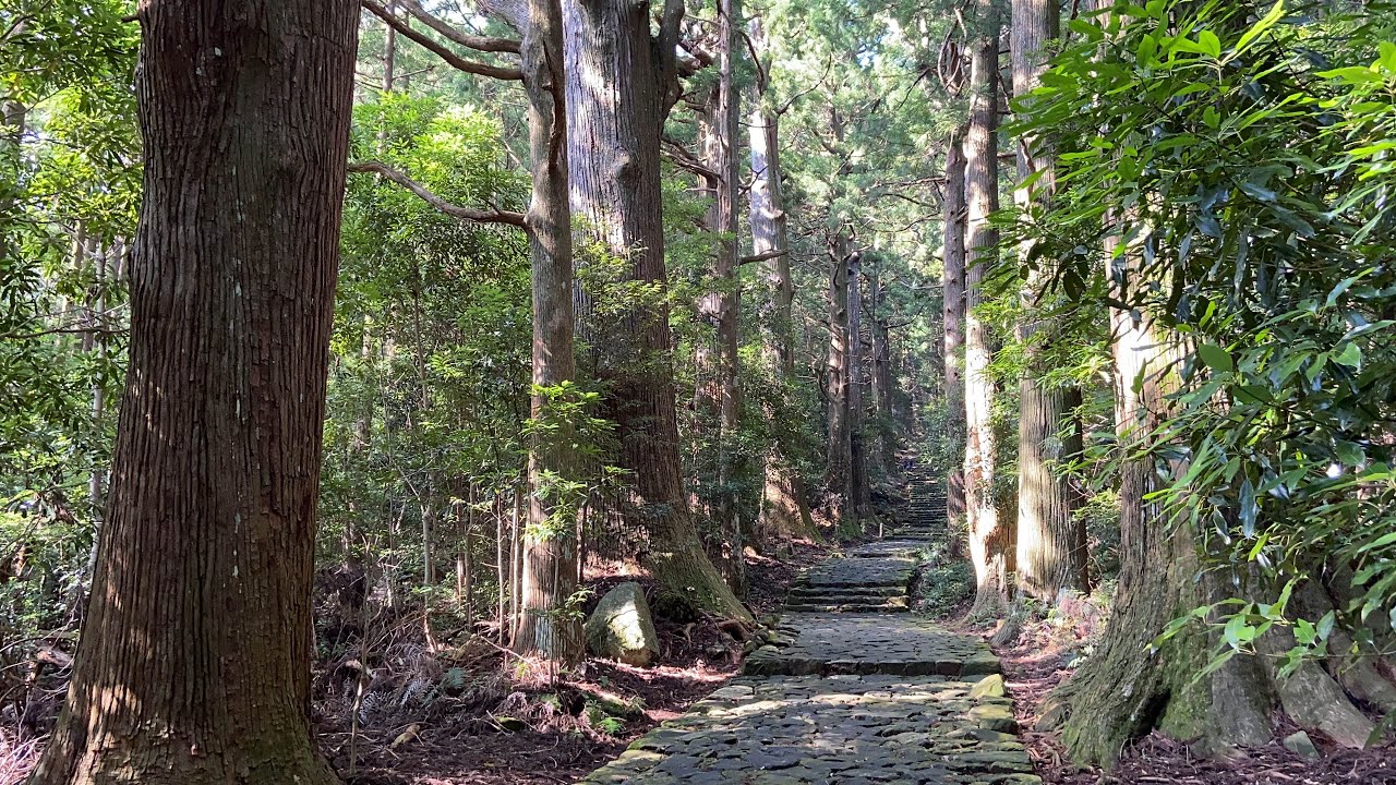 【4K】和歌山県の旅 熊野古道編 / Wakayama trip in Japan Part2 #161