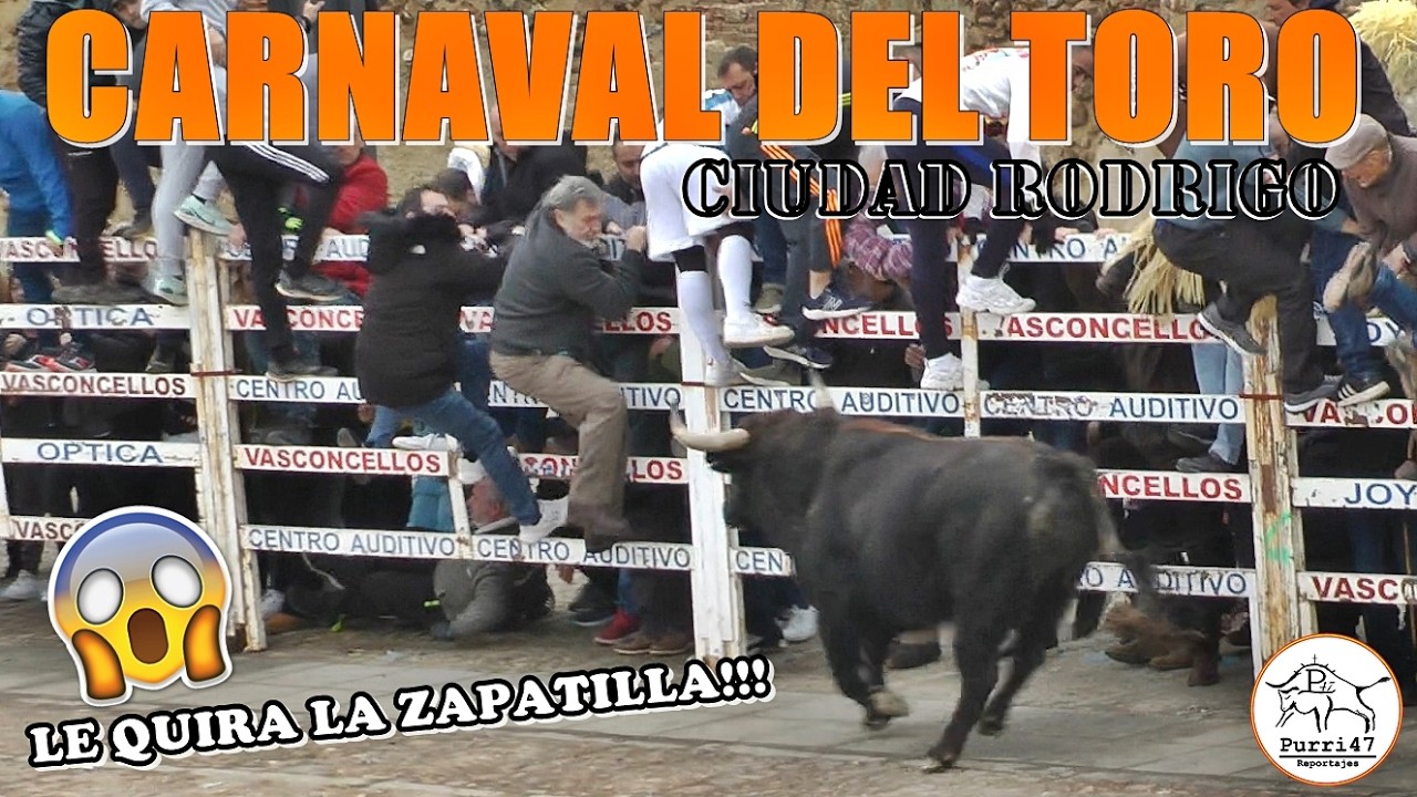👀QUE BUENOS TOROS!! 🙌🔥 CAPEAS Y ESPECTCULAR DESENCIERRO👌 🚨CARNAVAL DEL TORO🐂