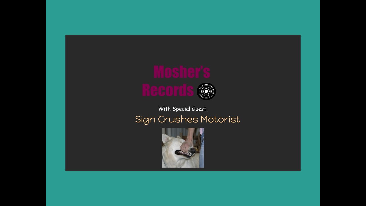 Sign Crushes Motorist Interview