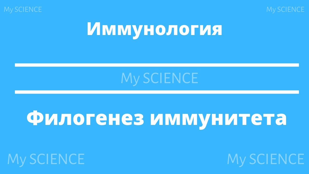 Как развивался иммунитет исторически - филогенез иммунитета. # Иммунология #Иммунитет #История