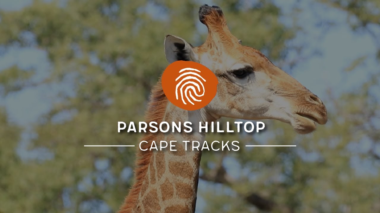 Parsons Hilltop