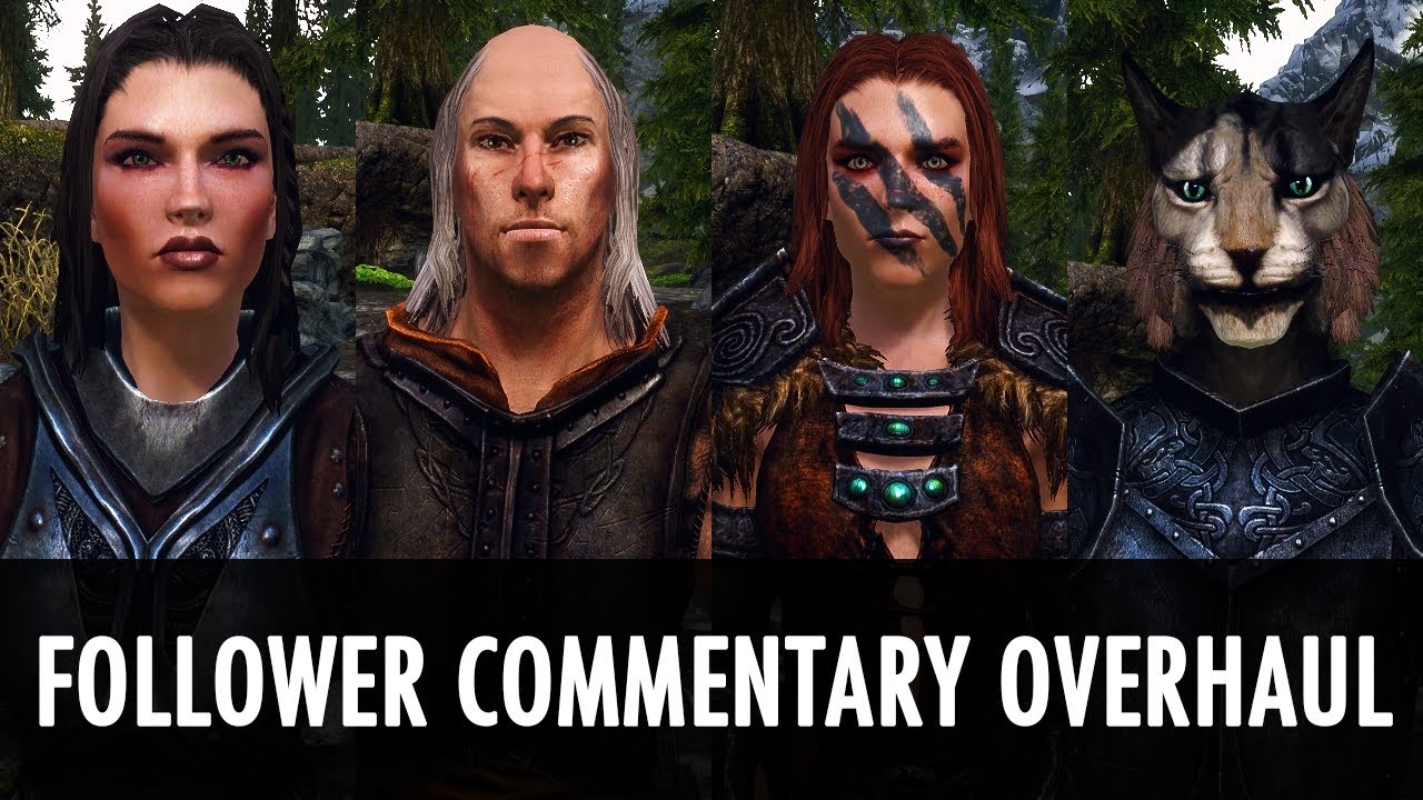 Skyrim Mod: Follower Commentary Overhaul