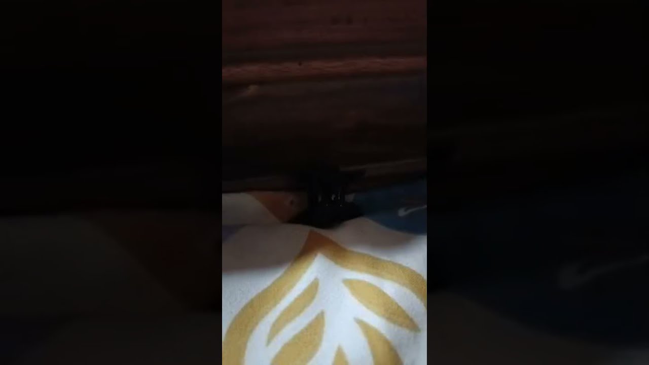 Luku's Lifestyle is live