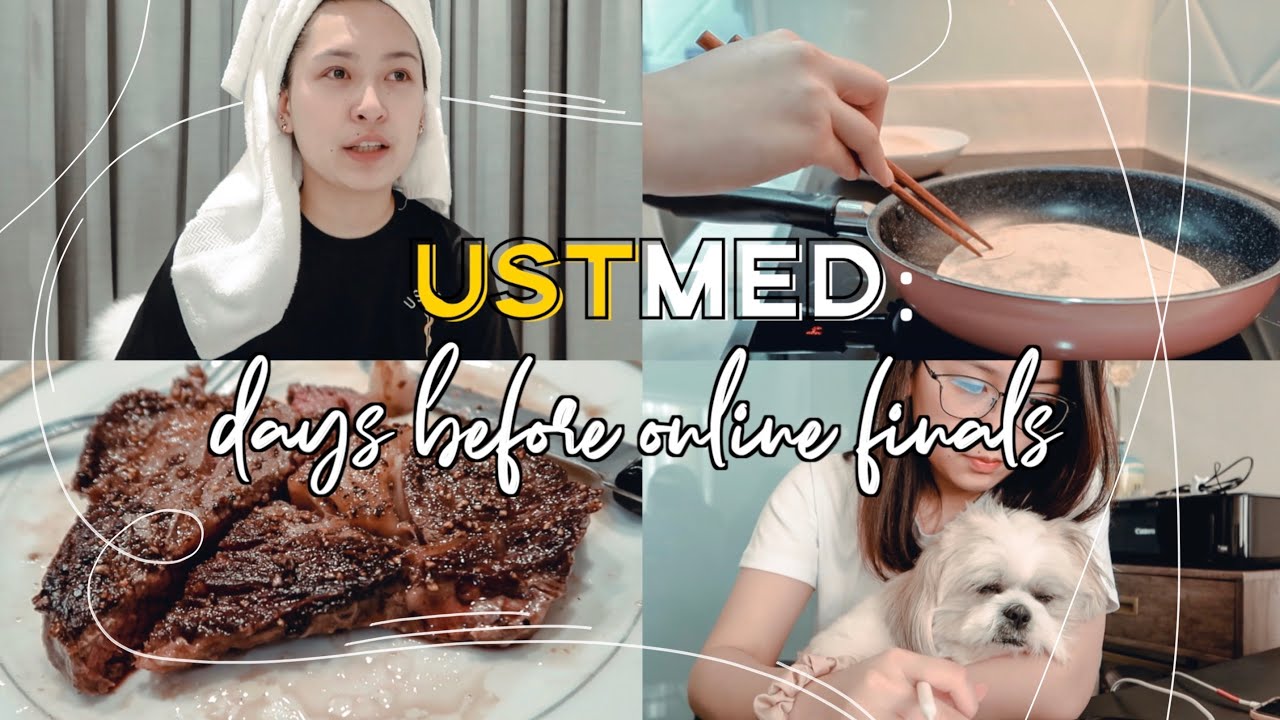 USTMed Ep11: RANDOM DAYS BEFORE MED SCHOOL ONLINE FINALS (Philippines) | Shayne Uy