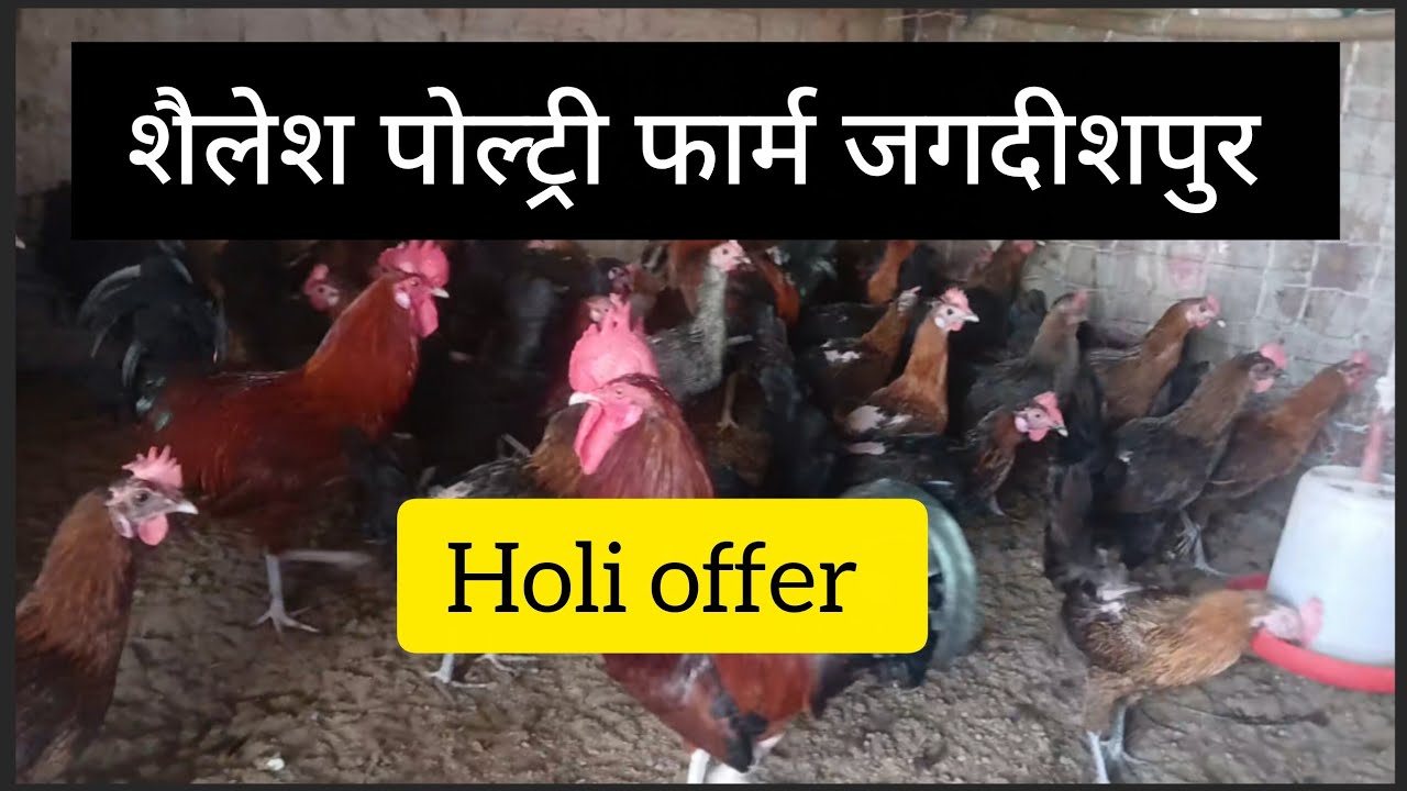 || शैलेश पोल्ट्री फार्म जगदीशपुर || Poltry form jaunpur ||#villagevlog #vlog #villagelife 