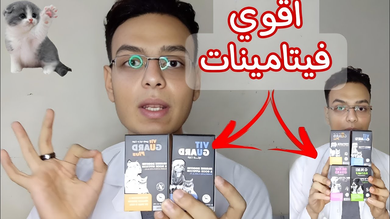 اعطي الفيتامين دا و شوف جسم قطتك بعده - اقوي فيتامينات للقطط فاتحة للشهية و رافع مناعة و زيادة الوزن