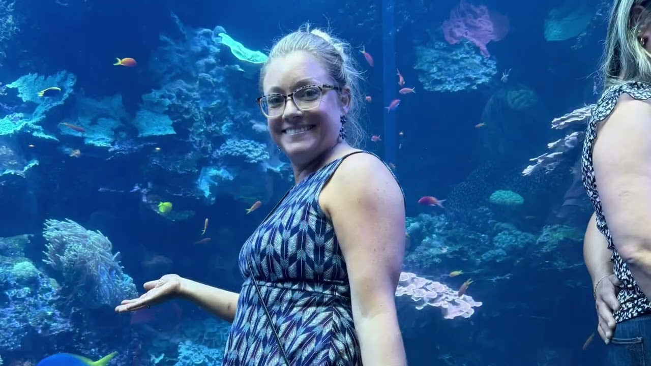 Atlanta Aquarium 