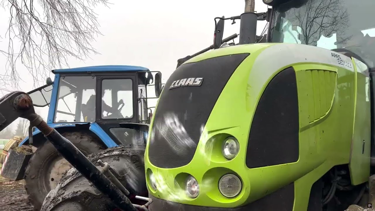 ❗️🐮 Obornik Od Jałówek-2025 - Wywóz na pryzme ❗️❗️🐮 🔹GR-BIERKO🔹  🔹Mtz82🔹CLAAS ARES ATZ 657🔥 w Akcji💪
