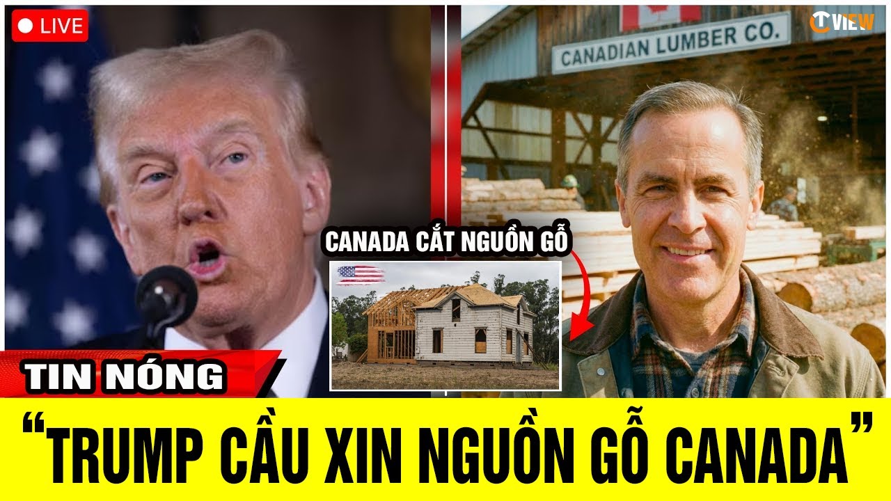 CANADA KHÓA CHẶT THỊ TRƯỜNG GỖ - Giá gỗ Canada đạt mức kỷ lục tại Mỹ