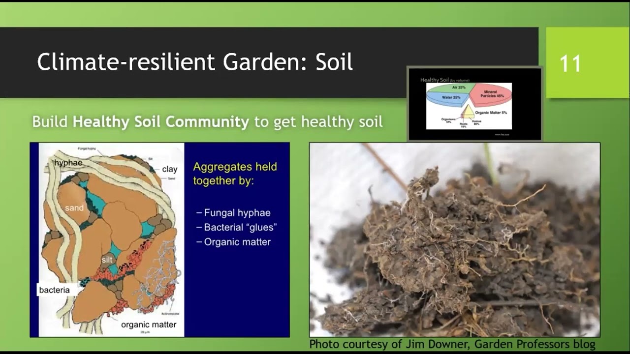 Make Your Garden More Climate Resilient with OSU Master Gardeners