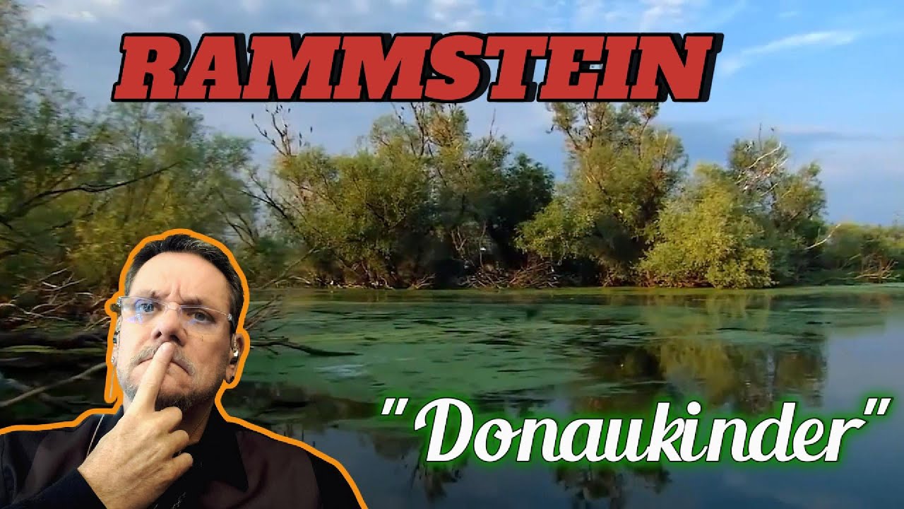 Rammstein | DONAUKINDER | First Time Reaction. Depressing what we can do to others.