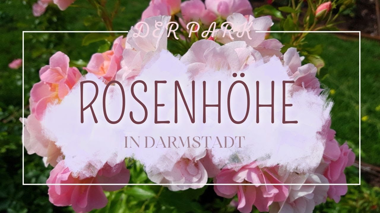 Der Park Rosenh&ouml;he in Darmstadt
