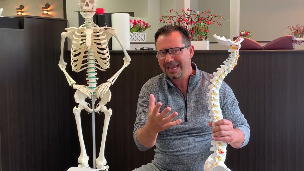 Qu'est-ce que la chiropratique? C'est quoi notre but?