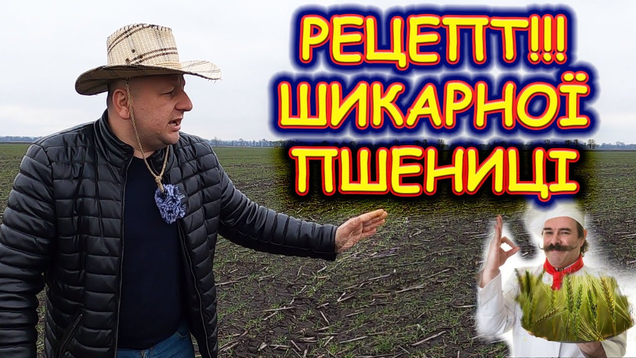 🤔ЧИМ ВИТЯГНУТЬ 🌾ПШЕНИЦЮ🌾? ЧИ СТРАШНІ ПІЗНІ ПОСІВИ⁉️